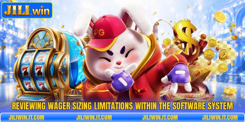 Reviewing wager sizing limitations within the software system